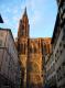 La 
Cathédrale Notre-Dame de Strasbourg
