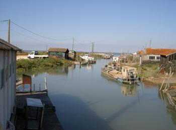 decouvrez-la-ville-de-dolus-d-oleron