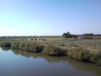 le-temps-d-un-repas-sur-les-canaux