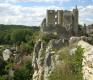 a-la-decouverte-des-chemins-creux-qui-entourent-angles