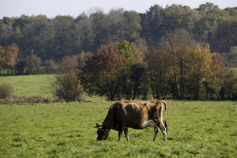 circuit-rouge-n-1-des-anorelles-11-km