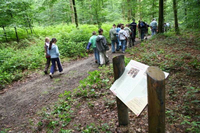 circuits-de-randonnee-des-gabelous-12-km-et-13-5-km