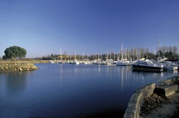 decouvrez-le-teich