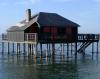 l-ile-aux-oiseaux-et-ses-cabanes-tchanquees-bassin-d-arcachon