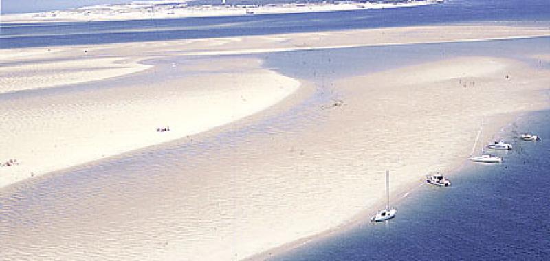 le-banc-d-arguin-bassin-d-arcachon