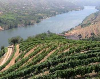 vignoble-monlozay-chateau-vaux