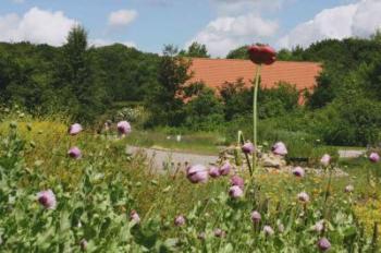 parcs-et-jardins-a-bailleul