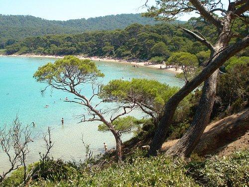 Jour 4 : Ile de Porquerolles <