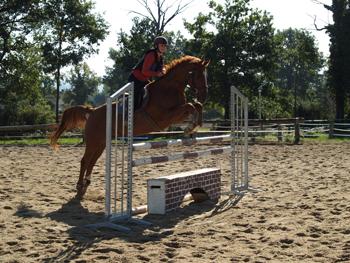 equitation