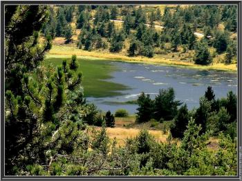 decouvrir-le-mont-lozere