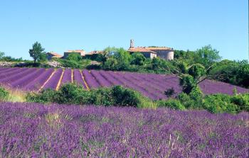 saint-privat-de-champclos