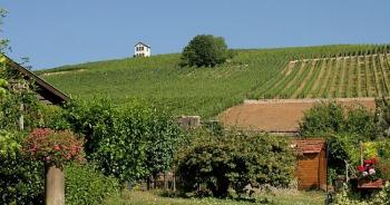 les-produits-de-montagne-le-hohwald