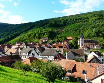 reichsfeld-et-ses-vignes