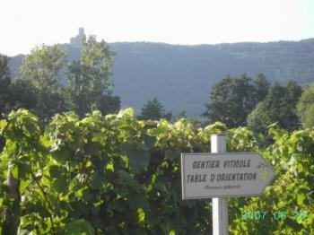 decouverte-du-sentier-viticole-de-barr decouverte-du-sentier-viticole-de-barr