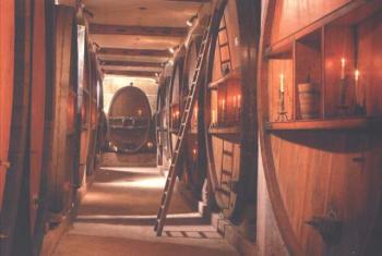 visite-de-cave-et-degustation visite-de-cave-et-degustation