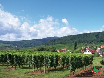 mittelbergheim-un-des-plus-beaux-villages-de-france