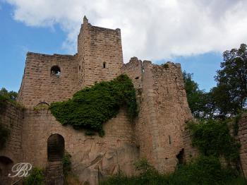 le-chateau-du-bernstein-a-dambach-la-ville