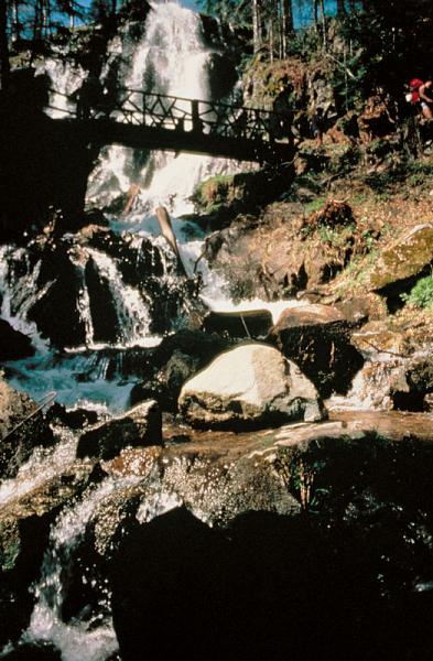 le-hohwald-une-oasis-de-verdure le-hohwald-une-oasis-de-verdure