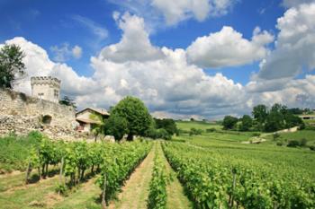 visite-d-une-cite-viticole-et-gastronomique