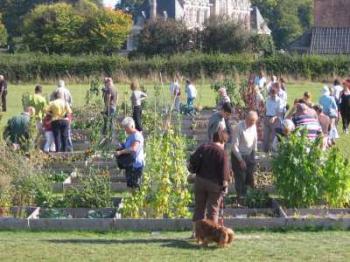 le-potager-de-beaumesnil