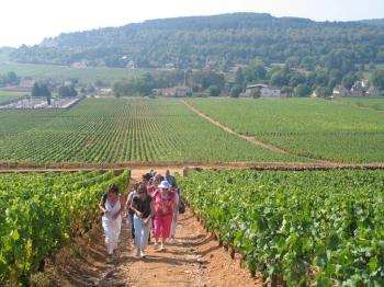 visite-guidee-de-beaune