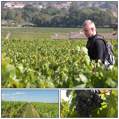 visites-de-beaujolais