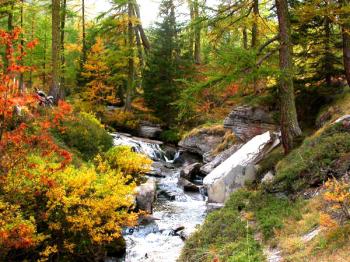 decouvrir-le-parc-national-du-mercantour