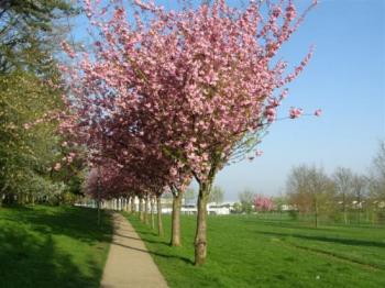 parc-francois-mitterrand