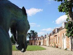 le-haras-du-pin