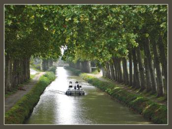 le-canal-du-midi