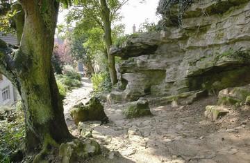 visite-guidee-de-la-ville-de-cassel