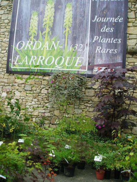 decouvrir-un-village-jardin-a-ordan-larroque