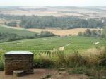 visite-des-alentours-de-chablis