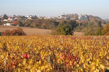 la-varenne-loire-et-vignoble