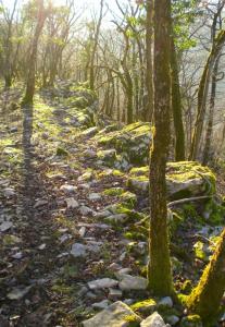 le-sentier-du-karst