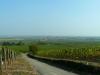 scherwiller-une-cite-sur-la-route-des-vins