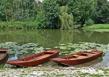 decouverte-du-marais-poitevin