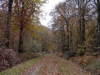 a-la-decouverte-de-crecy-en-ponthieu