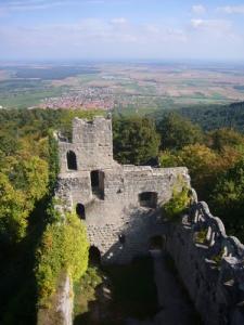 a-la-decouverte-du-chateau-du-bernstein