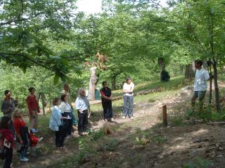 sentier-de-decouverte-de-la-chataigneraie