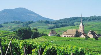 le-musee-de-die-et-du-diois-et-l-abbaye-cistercienne-de-valcroi