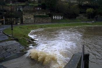 plan-d-eau-les-essarts