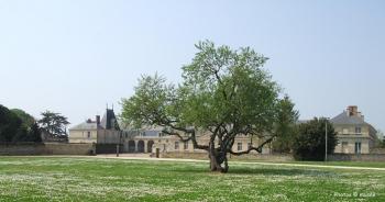 le-musee-des-commerces-anciens