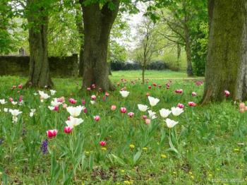 domaine-et-parc-de-saint-jean-de-beauregard