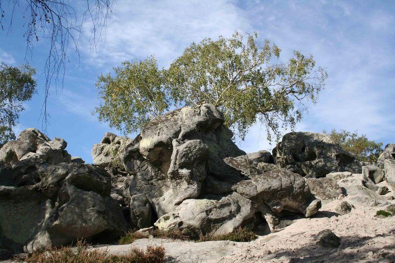 sur-le-pas-de-paul-et-camille-claudel