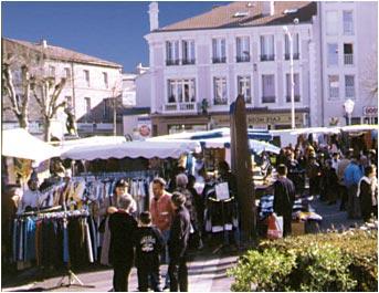 feurs-capitale-des-segusiaves feurs-capitale-des-segusiaves