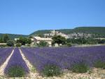 decouvrir-les-paysages-a-forcalquier