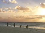 la-plage-de-sable-fin-a-fort-mahon-plage