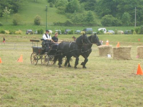 les-randonnees-equestres-entre-usses-et-vuache