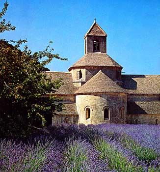 l-abbaye-de-senanque